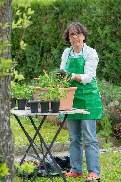 Olgun kadın Sardunya çiçekleri Çömlekçilik — Stok fotoğraf