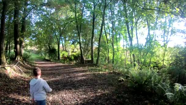 快乐男孩徒步旅行在森林 后面看法 — 图库视频影像