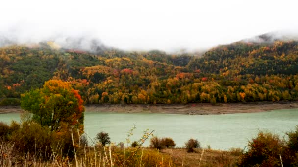 Zła Pogoda Jesienią Kolorowe Liście Jeziorem — Wideo stockowe