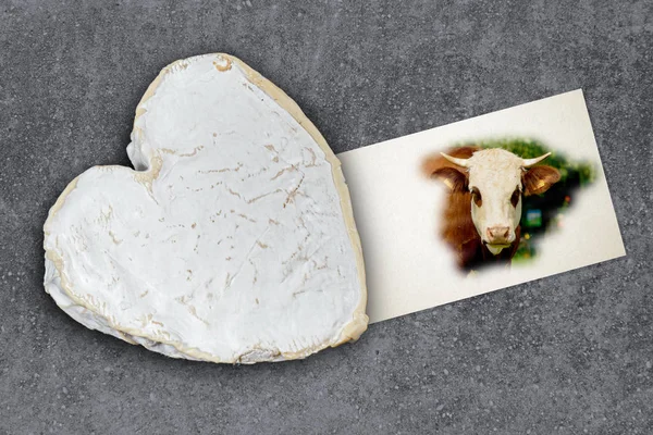 French Neufchatel cheese shaped heart — Stock Photo, Image