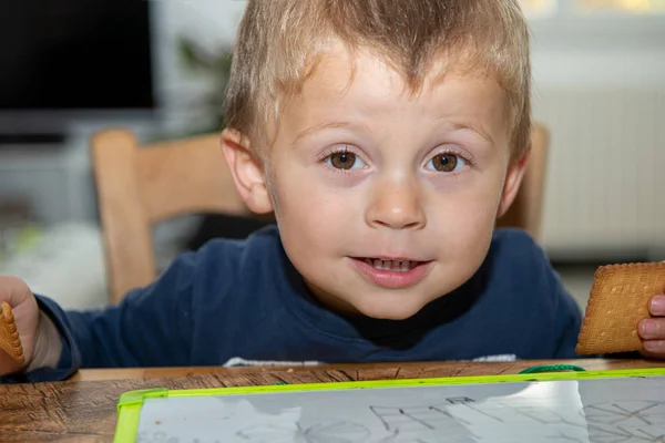 Retrato del niño de dos años —  Fotos de Stock