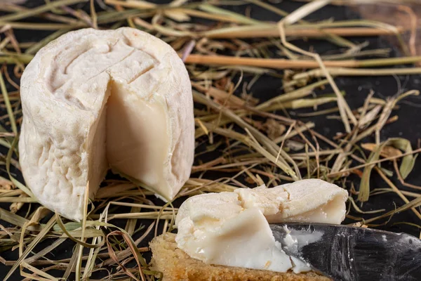 French goat cheese, product in the Pyrenees mountains — 스톡 사진