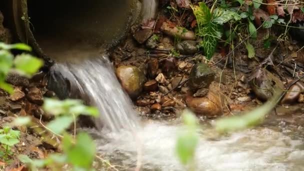 Corriente Pequeño Río Rocoso — Vídeo de stock