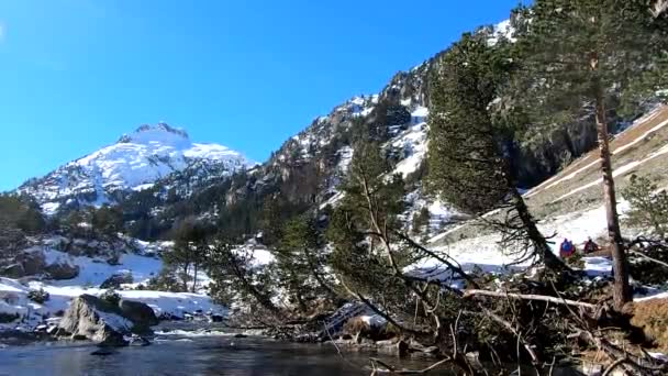 Small River Snowy Pyrenees Mountains Pont Espagne France — 비디오