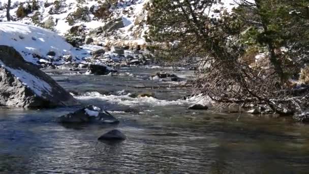 River Snowy Pyrenees Mountains — Stok video