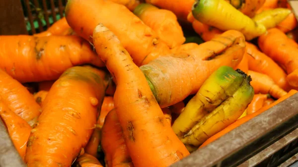 Organic carrots on the market place — ストック写真