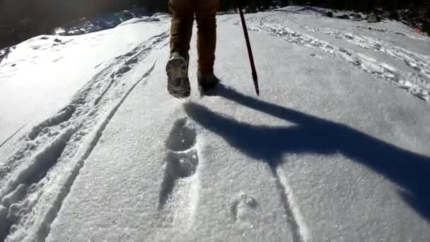 Hiker Walking Snow Slow Motion — Stockvideo