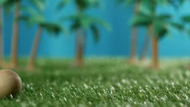 petanque balls with a jack (cochonnet) on grass
