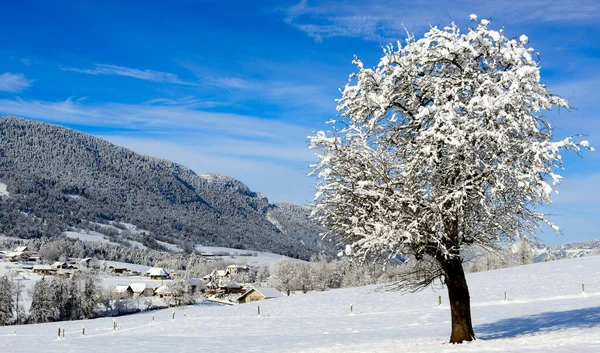 Kar ile kışın dağ manzarası — Stok fotoğraf