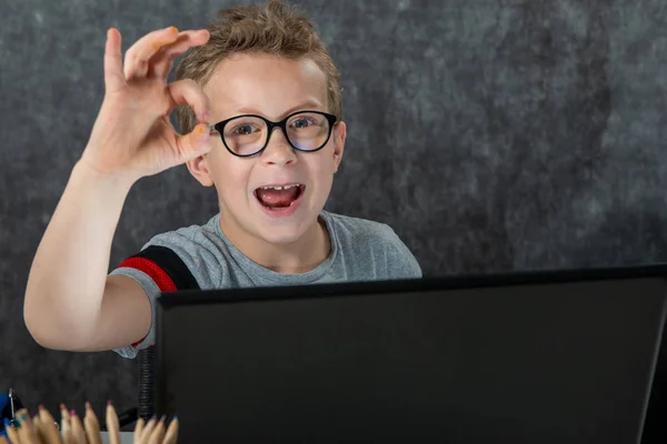 little school boy with laptop showing OK gesture