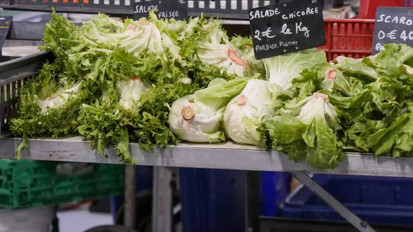 Insalata di scarole biologica sul mercato — Foto Stock