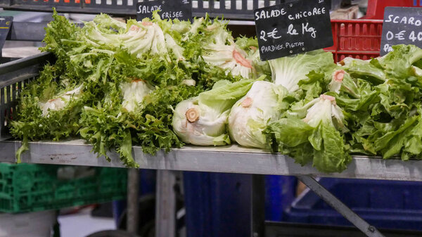 organic escarole salad on the market