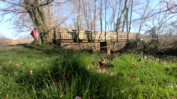 Randonneuse Marchant Sur Une Passerelle Bois — Video