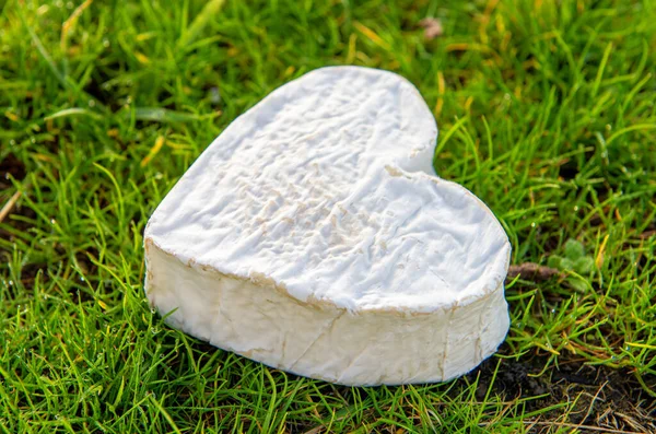 Französischer Neufchatel Käse Auf Dem Gras — Stockfoto