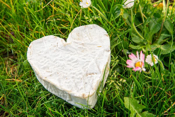 Französischer Neufchatel Käse Auf Dem Gras — Stockfoto