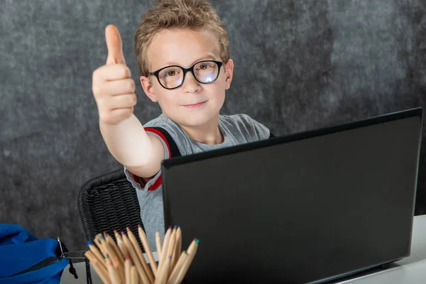 a little school boy with laptop showing OK gesture