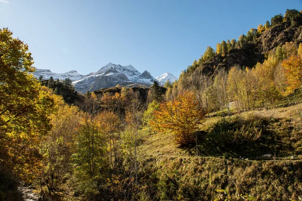 the color of autumn at the Pyrenees mountains