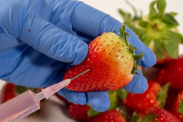 Eldivenli Bir Kadın Şırınga Kullanıyor Meyve Sebzelerde Genetik Değişiklik — Stok fotoğraf