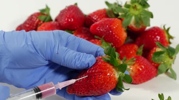 Kobieta Rękawiczkach Używa Strzykawki Genetyczna Modyfikacja Owoców Warzyw — Wideo stockowe