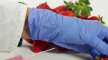 Eldivenli kadın şırınga kullanıyor. Meyve ve sebzelerde genetik değişiklik.