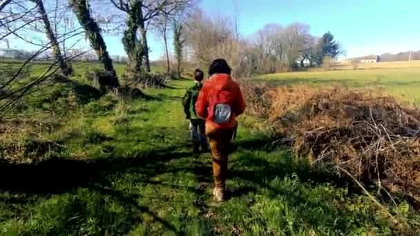 Mother Her Son Walking Countryside Back View — Stock Video