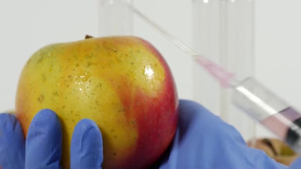 Frau Mit Handschuhen Benutzt Spritze Genetische Veränderung Von Früchten — Stockvideo