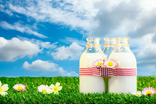 Three Small Bottles Milk Meadow Blue Sky — Stock Photo, Image