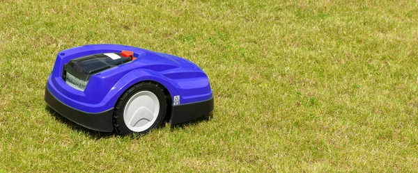 Çimlerde Mavi Robot Çim Biçme Makinesi — Stok fotoğraf