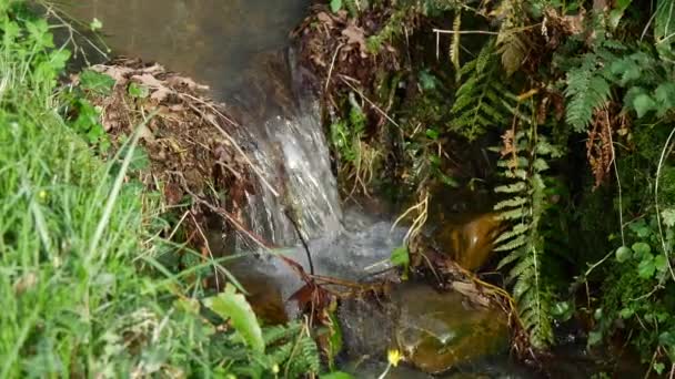 Utsikt Över Små Vattenfall Landsbygden — Stockvideo