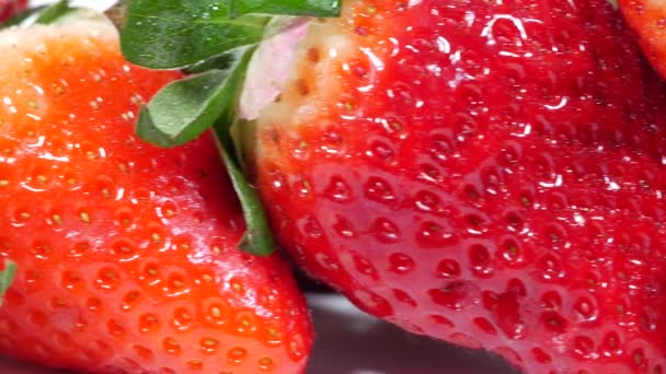 Close Fresh Organic Strawberry — Stock Video