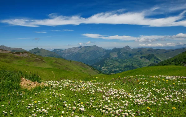 Blick Auf Den Col Aubisque Den Französischen Pyrenäen — Stockfoto