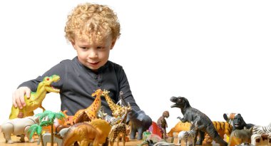 Küçük bir çocuk oyuncak hayvanlarla ve dinozorlarla oynuyor.