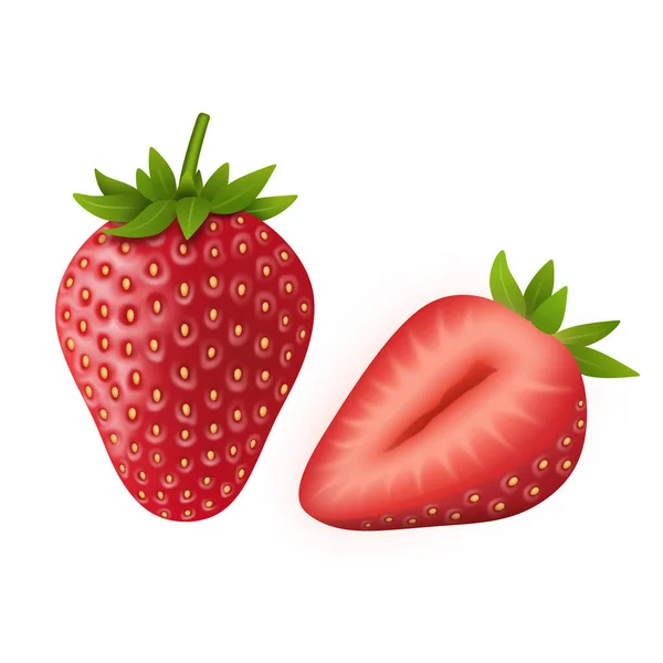 Isolierte Erdbeere Auf Weißem Hintergrund — Stockvektor