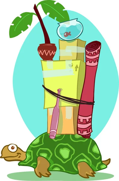 Kaplumbağa taşıma taşındık