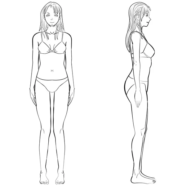 Ilustração vetorial corpo da mulher vista frontal e lateral em contorno —  Vetores de Stock