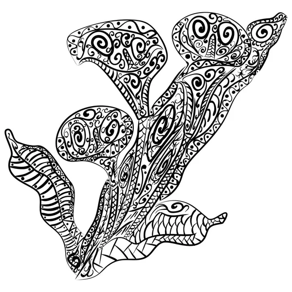 Zentangle Calla flor, padrão floral Vector —  Vetores de Stock