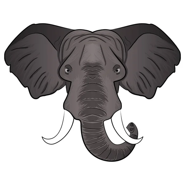 Illustration vectorielle tête de dessin animé éléphant — Image vectorielle