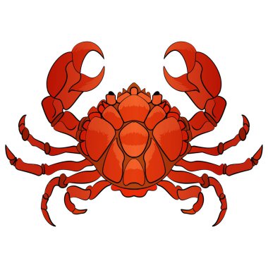 Çizgi film Yengeç karakteri vektör el çekilmiş