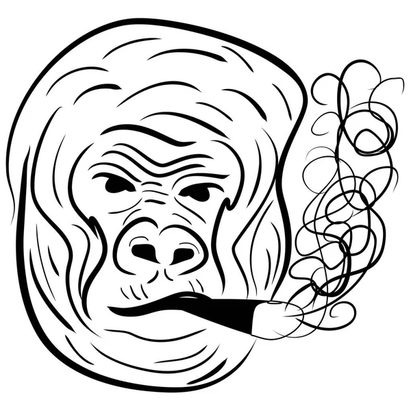 Gorilla portrait - hand line drawing — Stock Vector