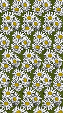 Papatya ile vektör seamless modeli