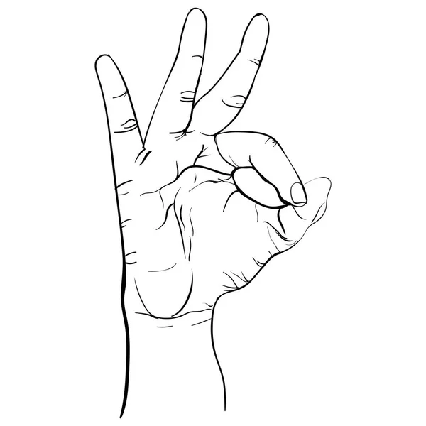 Ok gesztus, vonalas rajz Szabadkézi toll kéz — Stock Vector
