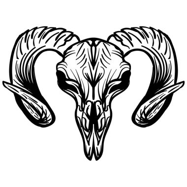 Keçi kafatası el çekilmiş, izole üzerinde beyaz