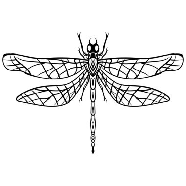 El kroki yusufçuk vektör dövme çekilmiş