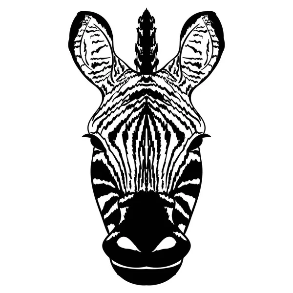 Cabeza aislada del boceto de cebra rayada — Vector de stock