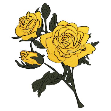 Yeşil kök illüstrasyon üzerinde Sarı Gül