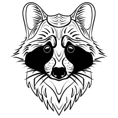 Rakun yüz kroki. Elle çizilmiş vektör doodle