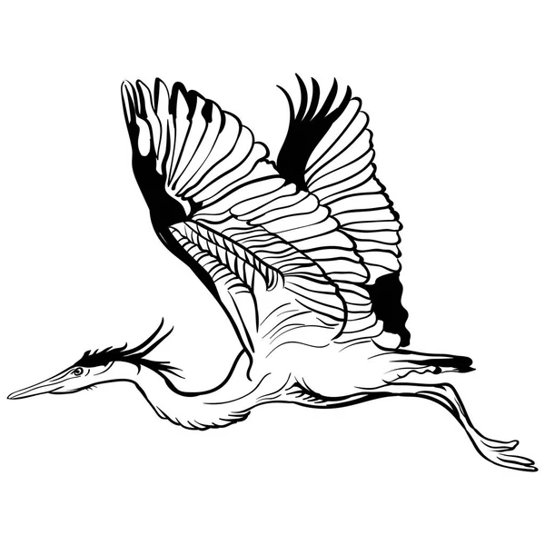 Векторний ескіз татуювання літаюча ілюстрація лелеки — стоковий вектор