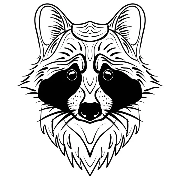 Schets wasbeer gezicht. Hand getekende vector doodle — Stockvector