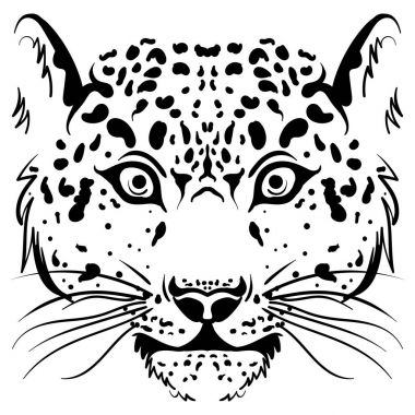 Siyah ve beyaz vektör kroki leopar yüz