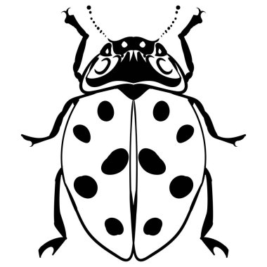 İzole el çizilen mürekkep kroki uğur böceği